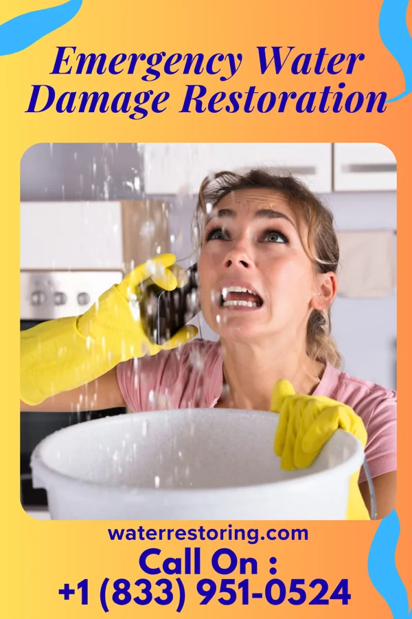 Emergency Water Damage Restoration in Waynesville, NC