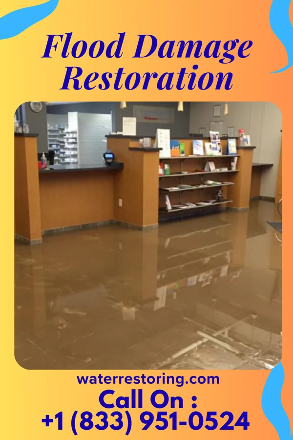 Flood Damage Restoration in Waynesville, NC