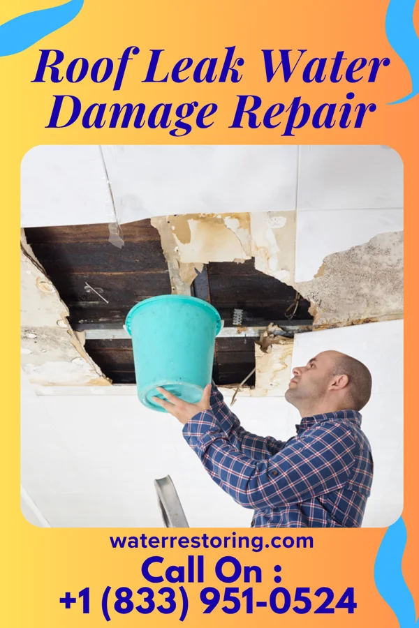 Roof Leak Water Damage Repair in Waynesville, NC