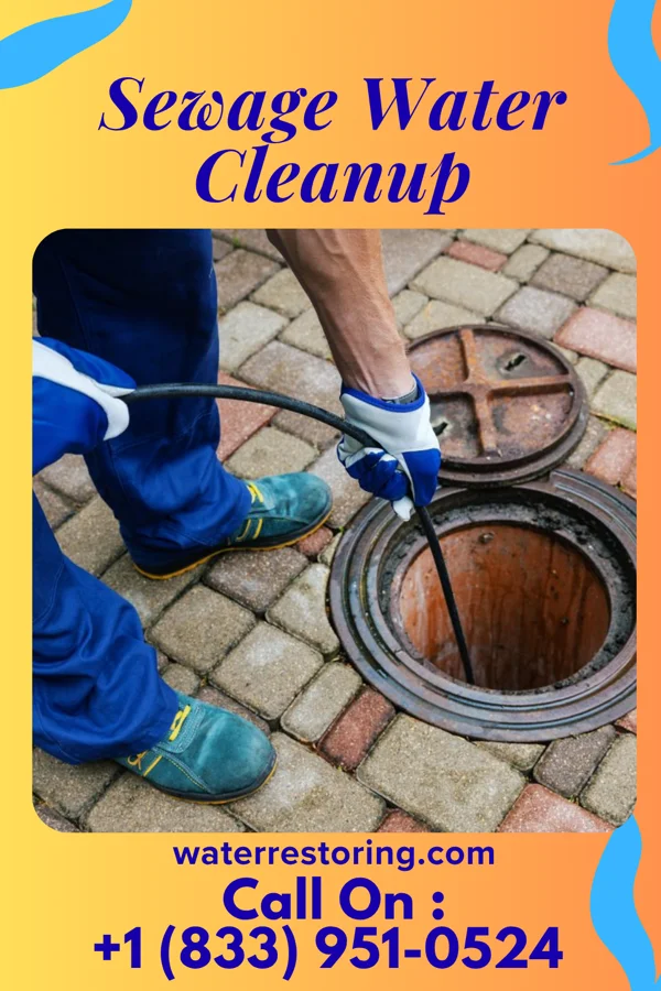 Sewage Water Cleanup in Waynesville, NC